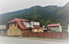  Guest House ALEX  Усть-Чорна